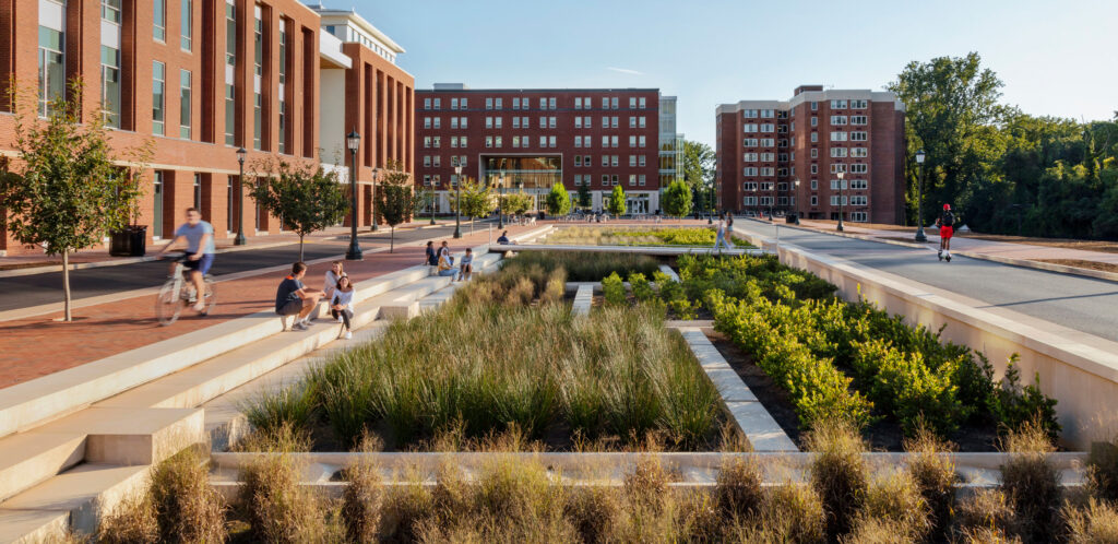 Landscaped area in between a roadway and a building